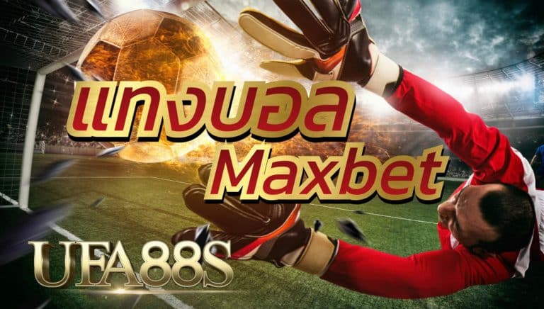 แทงบอลMaxbet