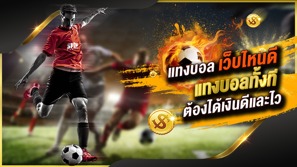 แทงบอลmaxbet1